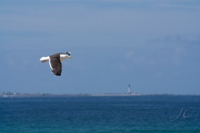 0502Baie des Trepasses.jpg - SONY DSC